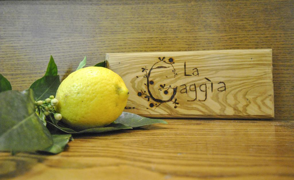 La Gaggia Guest House Piano di Sorrento Quarto foto